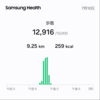 蝉…、いずこ？