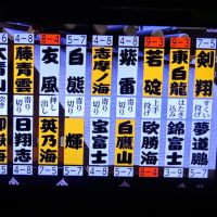 5/23 結果十両