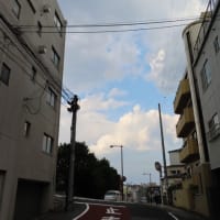 夕方はまだ気持ちいい