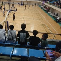 インハイ決勝観戦