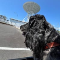 はてなblogへ、遂に引越し