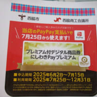 新作リネントレイ、届きました・・・
