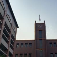 大学コンソーシアム岡山就職委員会参加(2024年7月30日)