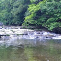 美しき7月の清澄山系