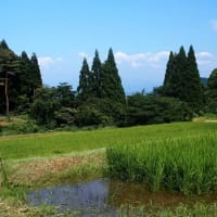 鳥取県・鳥取市の「鳥取のマチュピチュ」