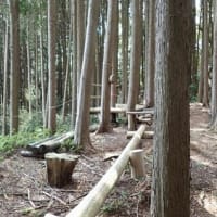 丸子城 駿河 その２ 　東海道を扼する規模が大きく城郭遺構がてんこ盛りの山城