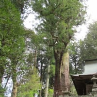 近津神社（茨城県大子町下野宮）（陸奥国式内社）