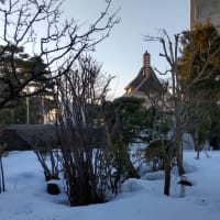 20221228雪景色