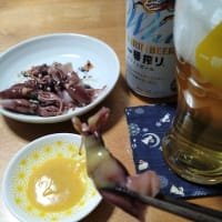 尾瀬ヶ原の野鳥たち2025