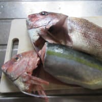 定休日　忙しかった　一日でした