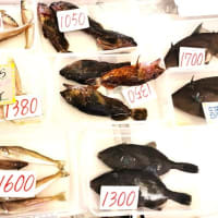 岡山の魚屋