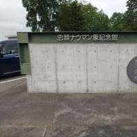 十勝出張　202507 その2