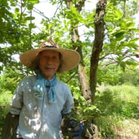 自然農　川口由一さんの三回忌　2025年6月9日