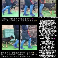 ククルの面会②