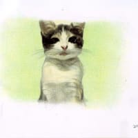 多謝！　ブルネロさん。　Baby Yukke-chan 詰め合わせ（再アップ）　(=^^=)