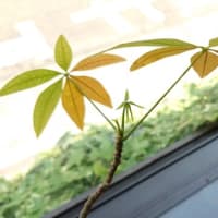 あれから9年　早いっすね～