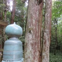 凡のひとりごと　　　伊勢参り　内宮