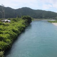 本日の海部川