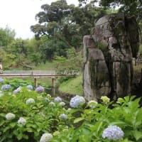岡山後楽園～2025年6月15日