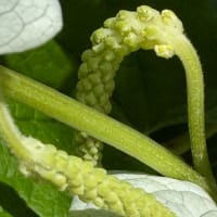 空振り　3回目