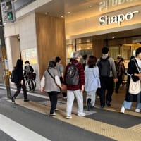 【真珠婚ウィーク】【市川あけどやの鴨つけ麺ファイナル】