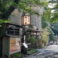 「伊豆榮 梅川亭」の青もみじ