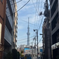 電車でのらりくらり