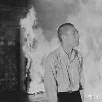 ｇｏｏブログ終了までに、「ひとり」映画オールタイムベスト１０１を完結させるぜ＾＾（４８）