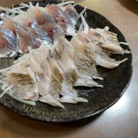 釣果報告‼︎20250118釣りぞめ