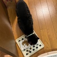 2025/6/18の朝