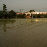 鹿児島本線415系　次々に来る列車を坦々と　2006-06-03