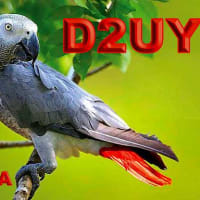3.5MHzで交信できた西アフリカの「アンドラ」の「D2UY局」