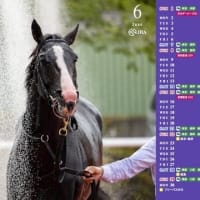 🌏壁紙カレンダー🗓️より！浮上！？✨