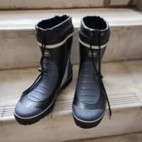 今日のウォーキングの相棒