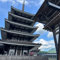 孫の子守り・午後は家内も一緒に花の桔梗寺・遍照寺・但馬大仏長楽寺