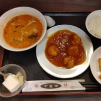 中華楼と野幌森林公園と