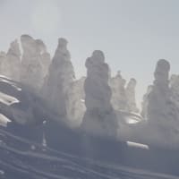 ２０２１年１月１２日　北八甲田　田茂萢岳の樹氷