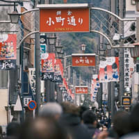 【鎌倉】鎌倉と言えばという位有名な小町通りを散歩 Walked around Komachi-dori St., Kamakura popular for tourists【OSMO Pocket】