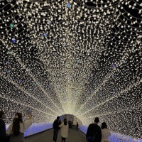 近場ツアー