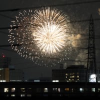 エアコンをONにして部屋に籠もって居たら、ドンドンと、雷鳴かな、と思って居たら、単発の音が為たので３階に出たら、花火が上がっていた。