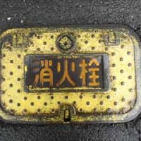 ご当地マンホール in 滋賀県旧朽木村（高島市）