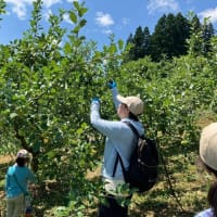 いもいの企画「地域丸ごとキャンパス草刈りバスターズ」に疲労困憊