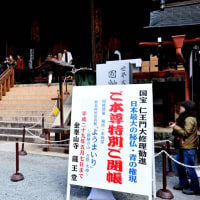 ８年前.奥千本からの吉野山は見事でした❣️