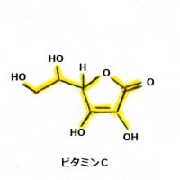 壊血病：謎の解明