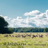 辻拓也・沢田ひろみ旅写真展「SCANDINAVIA」開催します