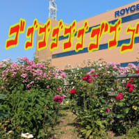 予告どおり・・・