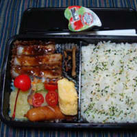土曜日の弁当