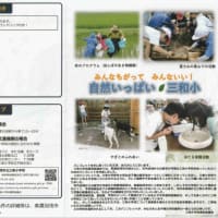 三和小学校児童募集中