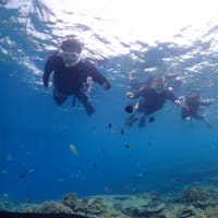 水納島が忘れなくて