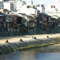 京都鴨川、イチャツキ重力均衡の法則